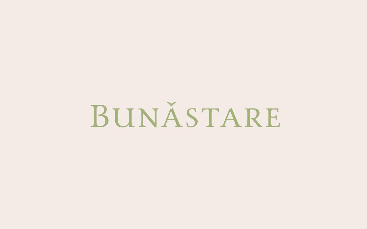 BUN?STARE美容品牌包裝vi設(shè)計——有機化妝品品牌視覺設(shè)計，vi設(shè)計，視覺設(shè)計，化妝品品牌vi設(shè)計，化妝品vi設(shè)計，企業(yè)vi設(shè)計，品牌vi設(shè)計，美容品牌vi設(shè)計，vi品牌策劃，深圳vi設(shè)計，左右格局