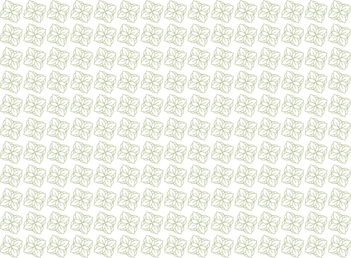 BUN?STARE美容品牌包裝vi設(shè)計——有機化妝品品牌視覺設(shè)計，vi設(shè)計，視覺設(shè)計，化妝品品牌vi設(shè)計，化妝品vi設(shè)計，企業(yè)vi設(shè)計，品牌vi設(shè)計，美容品牌vi設(shè)計，vi品牌策劃，深圳vi設(shè)計，左右格局